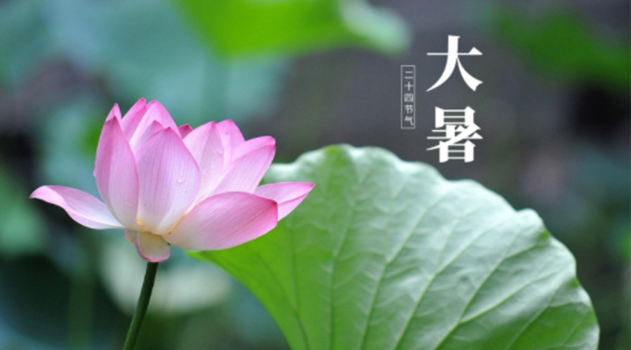 大暑時(shí)節(jié)！金環(huán)電器提醒大家注意這些干衣細(xì)節(jié)