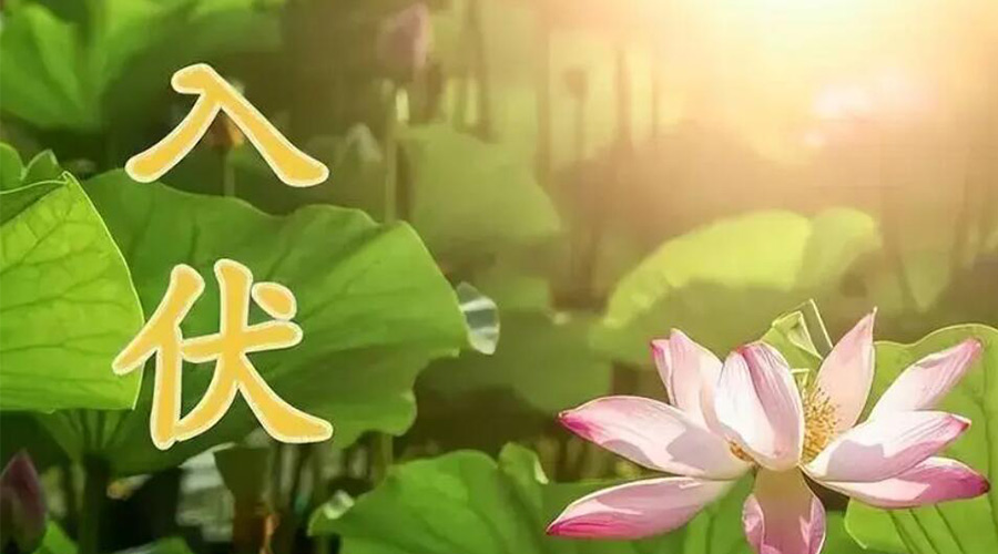 入伏天來襲！金環(huán)電器提醒大家要注意的事項(xiàng)
