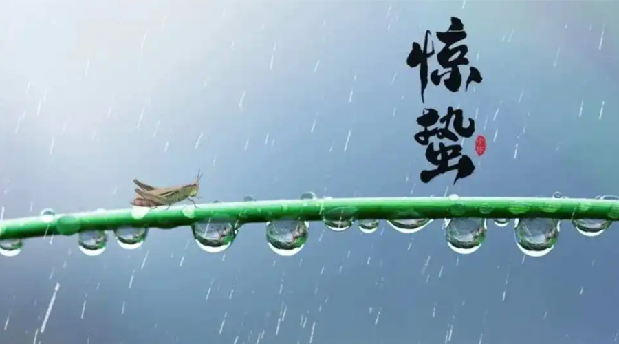 驚蟄時(shí)節(jié)！金環(huán)電器提醒大家干衣要注意這些