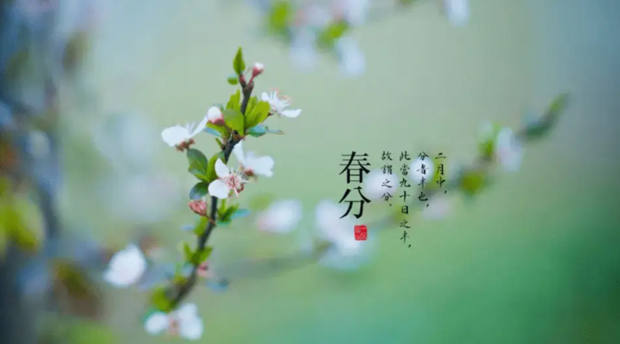 春分雨水多易生菌！金環(huán)電器提醒你衣物要注意處理