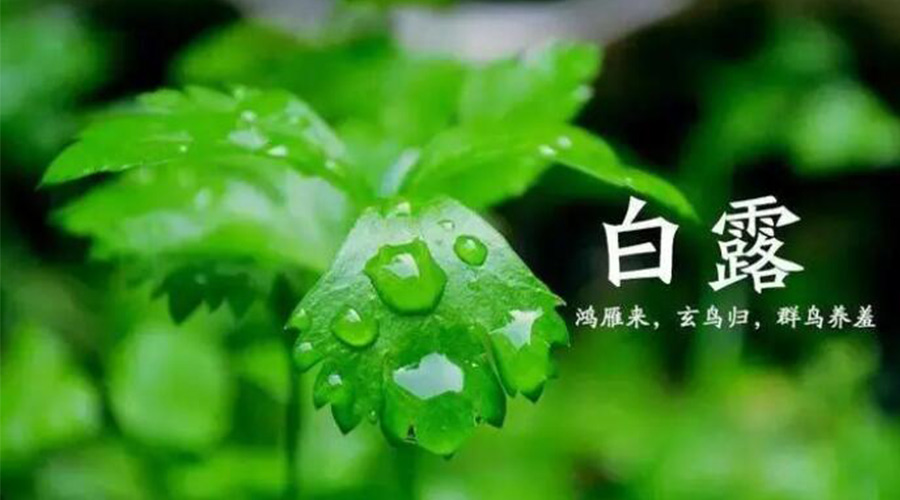白露時(shí)節(jié)！金環(huán)電器提醒大家要注意的事項(xiàng)