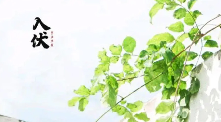 初伏時節(jié)！金環(huán)電器提醒大家要注意的事項