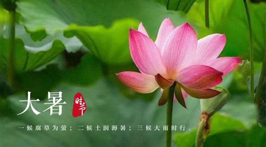 大暑時(shí)節(jié)！金環(huán)電器提醒大家要注意的事項(xiàng)