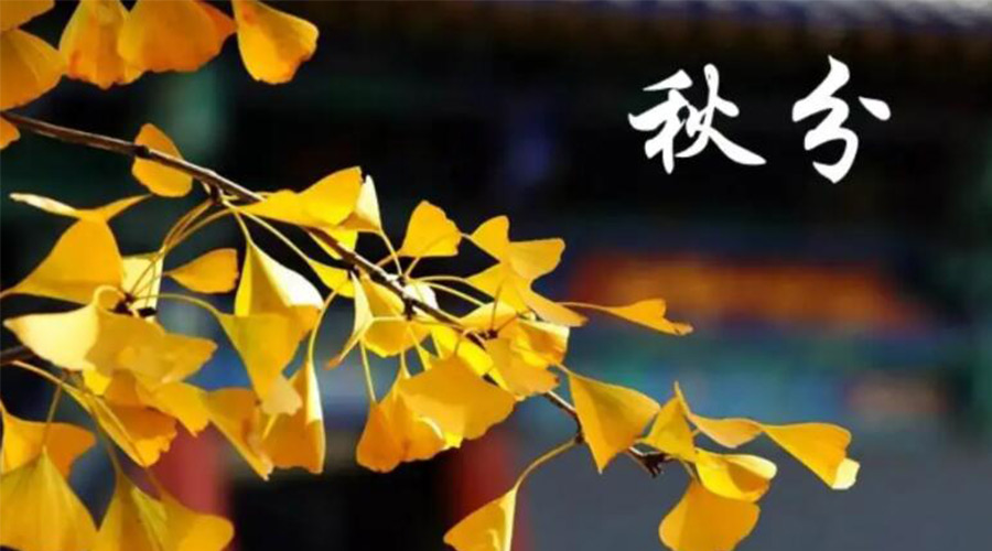 秋分時(shí)節(jié)！金環(huán)電器提醒大家要注意的事項(xiàng)