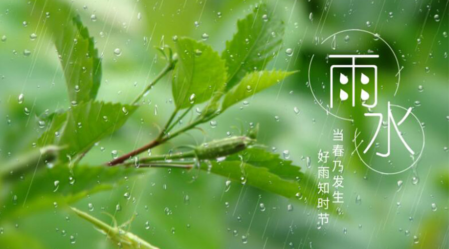 雨水時(shí)節(jié)！金環(huán)電器提醒大家要注意的事項(xiàng)